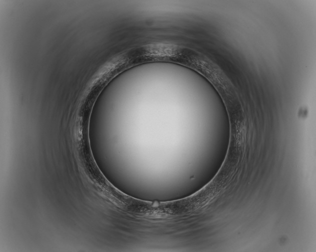 X0000097460731200802291235