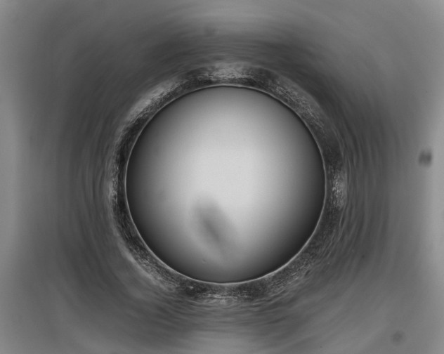 X0000097460732200802291235