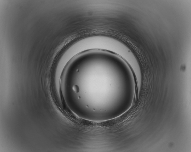 X0000097460734200802291235