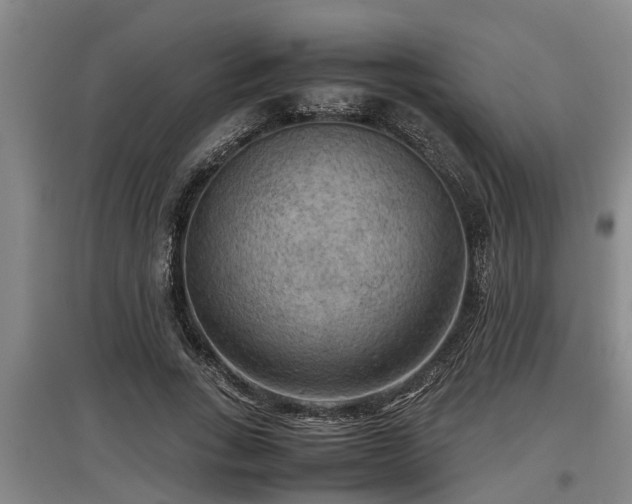 X0000097460735200802291235