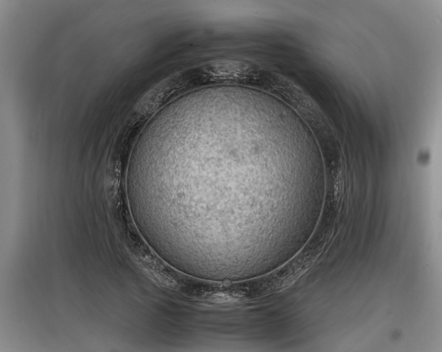 X0000097460737200802291235