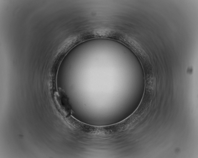 X0000097460738200802291235