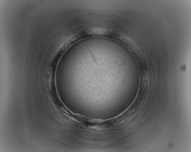 X0000097460739200802291235