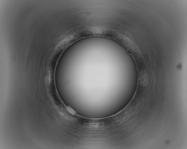 X0000097460740200802291235