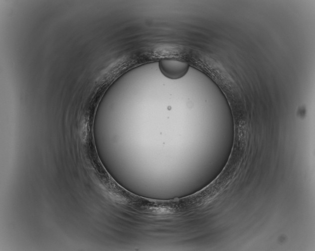 X0000097460741200802291235