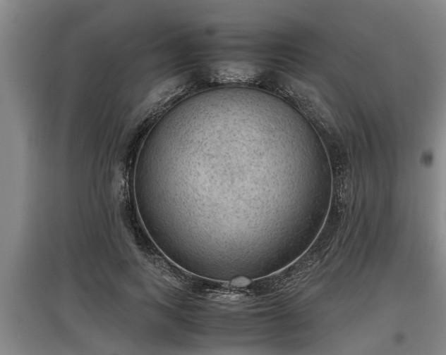 X0000097460743200802291236