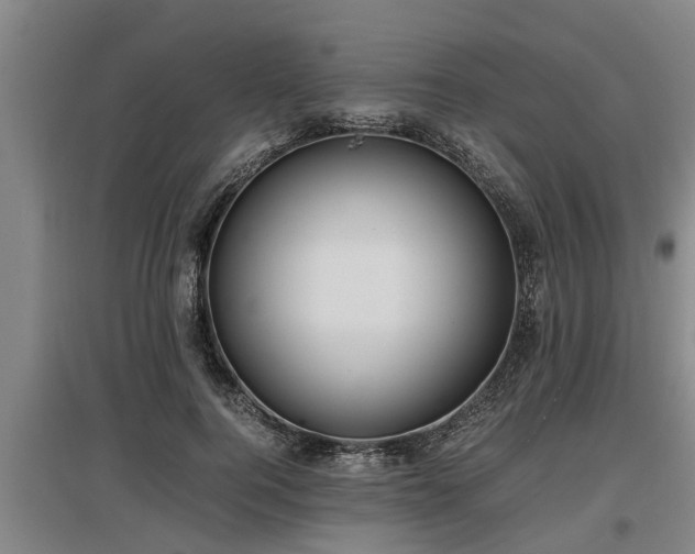 X0000097460744200802291236