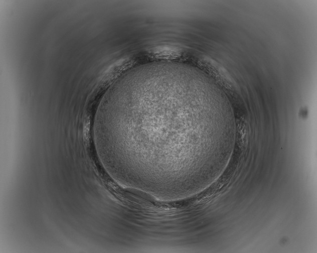 X0000097460745200802291236