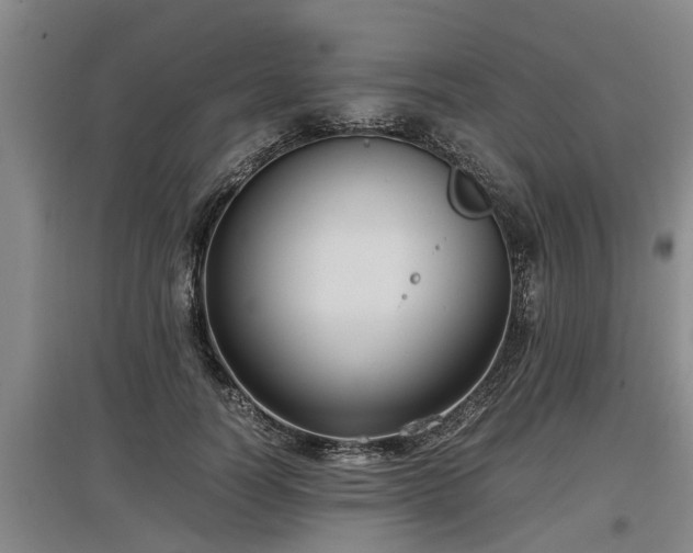 X0000097460746200802291236