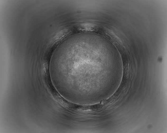 X0000097460747200802291236