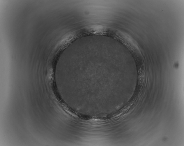 X0000097460748200802291236