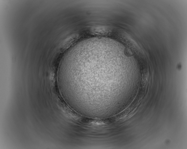 X0000097460749200802291236