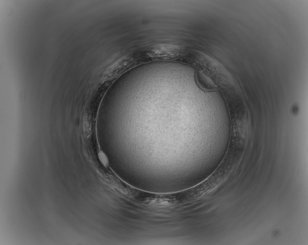 X0000097460751200802291236