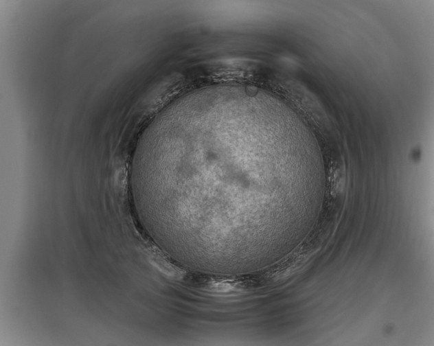 X0000097460753200802291236