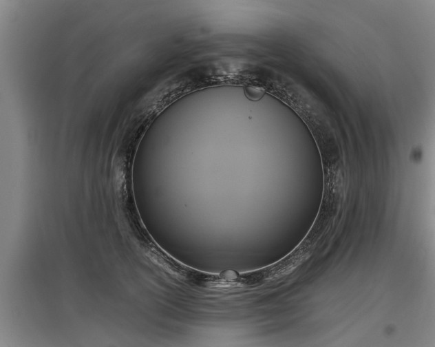 X0000097460754200802291236