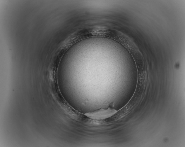 X0000097460755200802291236