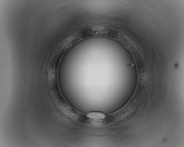 X0000097460756200802291236