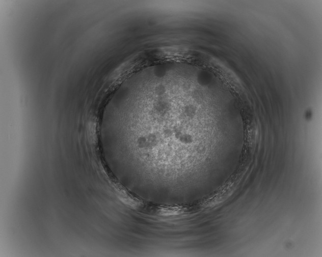 X0000097460757200802291236