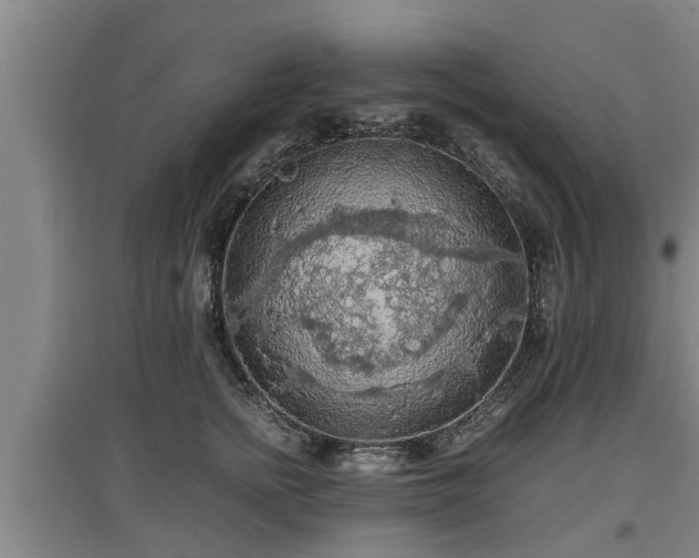 X0000097460758200802291236