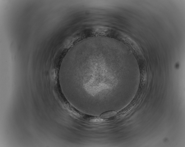 X0000097460759200802291236