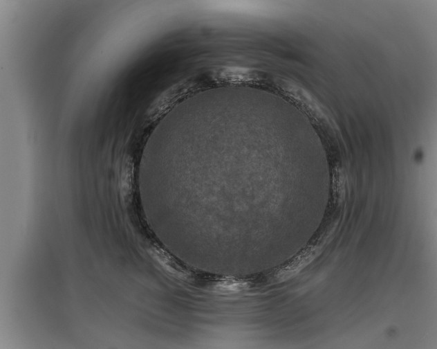 X0000097460760200802291236