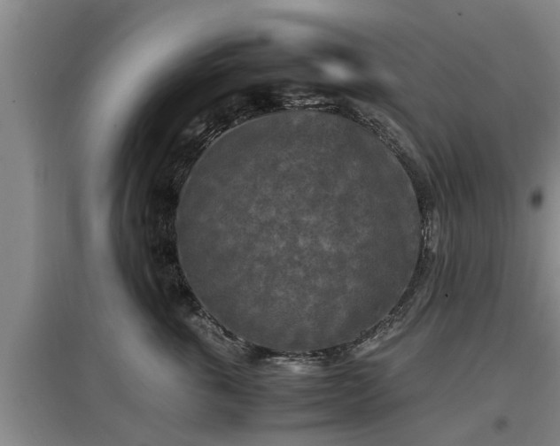 X0000097460763200802291236