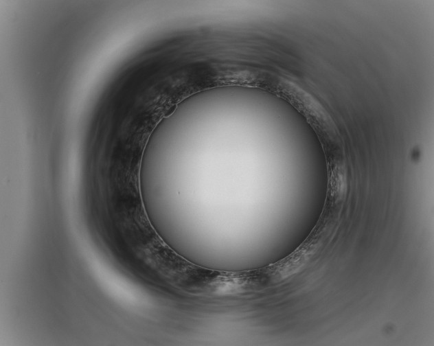 X0000097460764200802291236