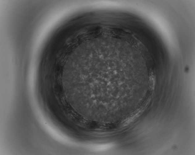 X0000097460765200802291236