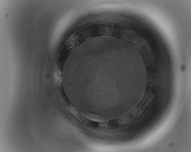 X0000097460766200802291236