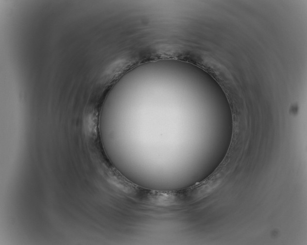 X0000097460768200802291236