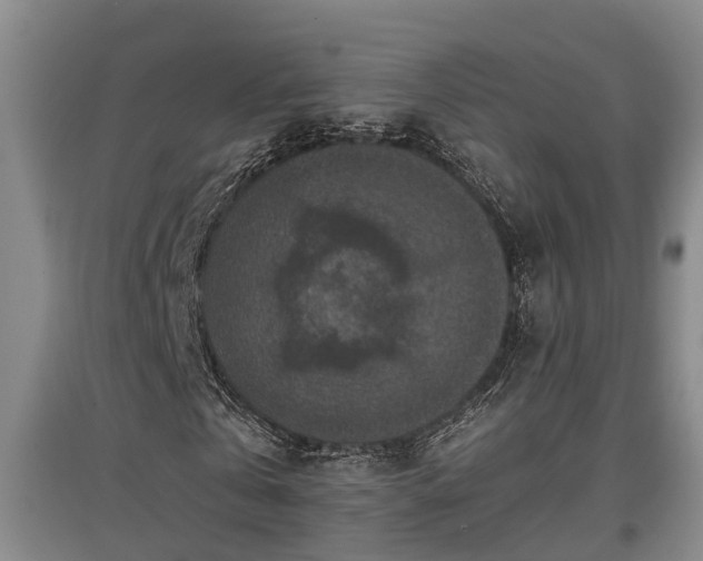 X0000097460769200802291235