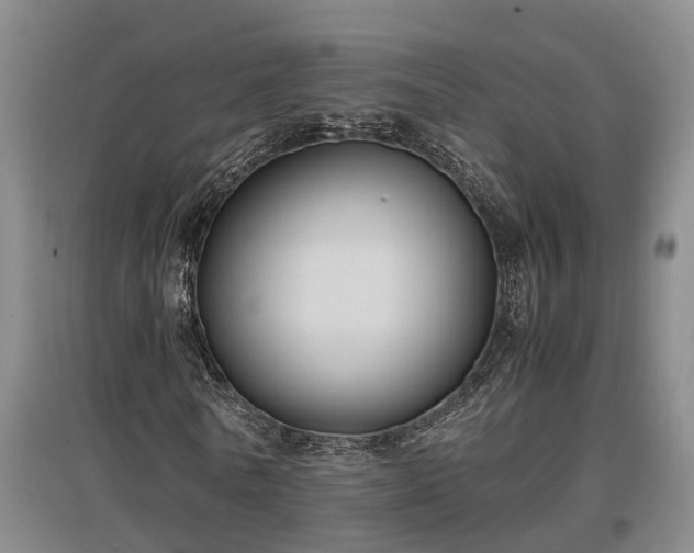 X0000097460770200802291235