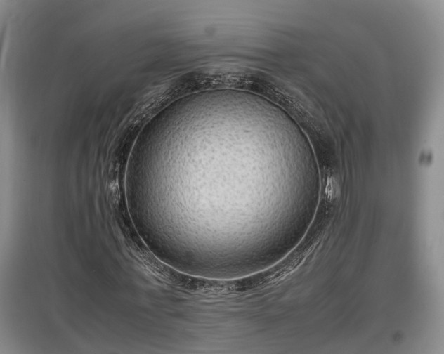 X0000097460771200802291235