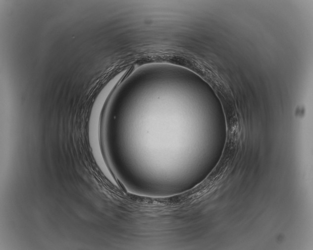 X0000097460772200802291235