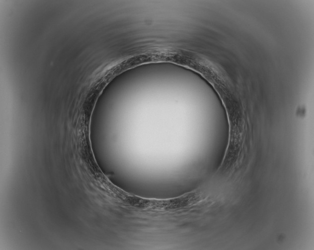 X0000097460773200802291235