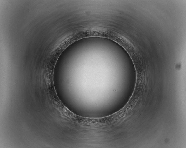 X0000097460774200802291235