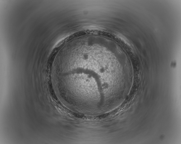 X0000097460775200802291235