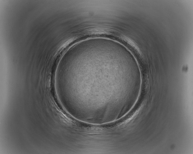 X0000097460777200802291235