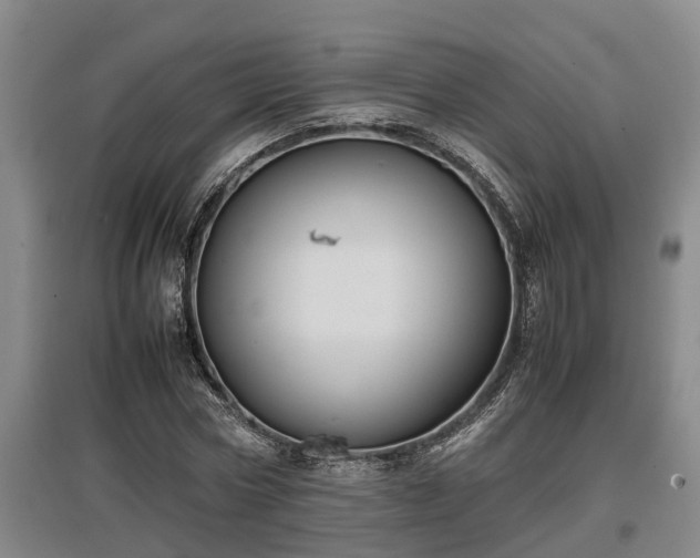 X0000097460778200802291235