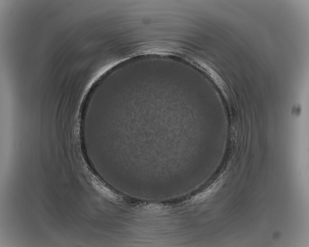 X0000097460779200802291235