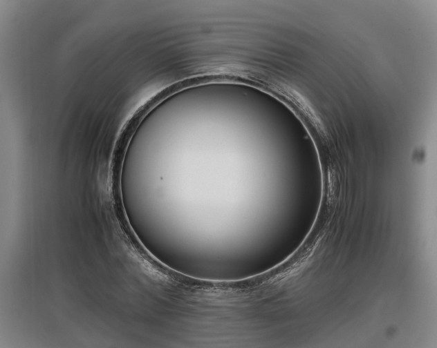 X0000097460780200802291235