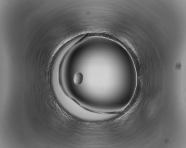 X0000097460781200802291235