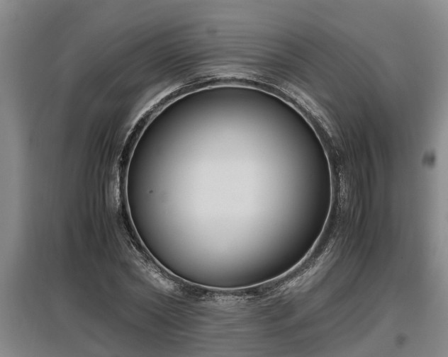 X0000097460782200802291235