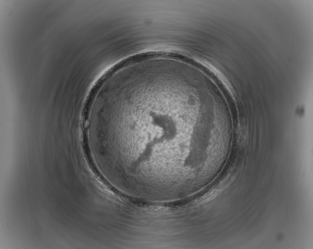 X0000097460783200802291235