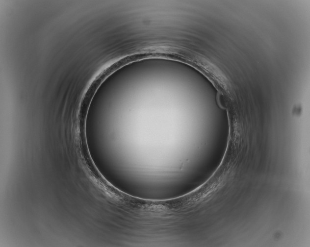 X0000097460784200802291235