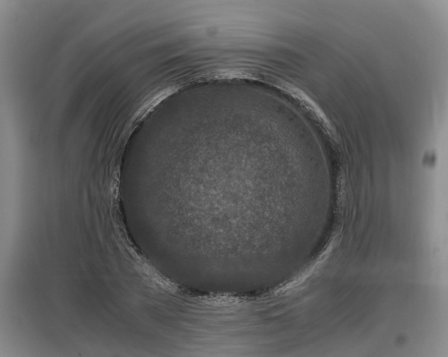 X0000097460785200802291235