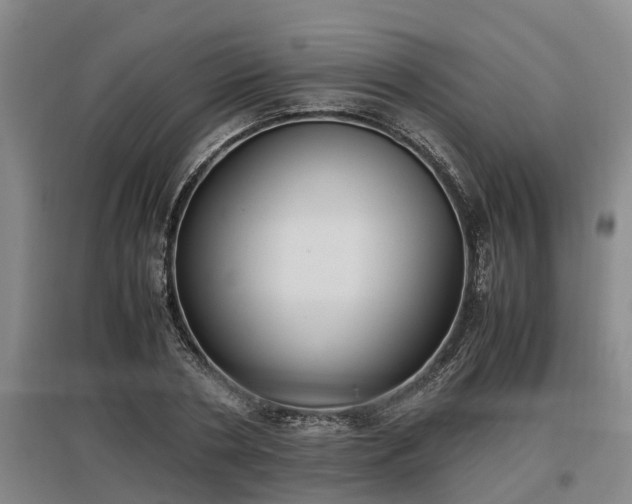 X0000097460786200802291235