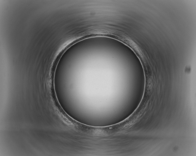 X0000097460787200802291235