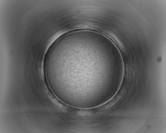 X0000097460788200802291235