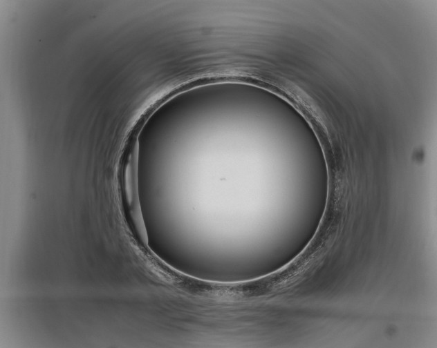 X0000097460789200802291235